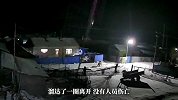东北虎进村！在大街上反复踱步监控曝光，黑龙江一地紧急通知