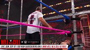 WWE-18年-地狱牢笼2017：欧文斯VS谢恩-单场