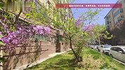 一户人家养了70多条蛇，整个小区居民陷入恐慌，协商无果后13位邻居集体起诉