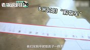狗生赢家！铲屎官：迄今花了50多万，给它买蒂芙尼项圈、LV宠物包