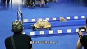 现实版龟兔赛跑，这结局我没想到