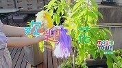 2-欢迎手花 校园派对活动手工