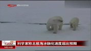 科学家称北极海冰融化速度超出预期