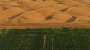 中国最新科研成果 将8000亩沙地变成绿洲 真厉害