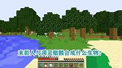 游游解说我的世界，末影人与凋灵骷髅合成什么生物？