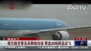 荷兰航空采购20吨中国地沟油试飞-真九尾狐