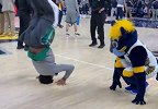 都是武林中人？斯马特向步行者吉祥物炫耀前空翻绝技