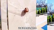 搞笑配音，核桃的奇葩吃法，这怎么这么难开？