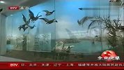国家动物博物馆开馆汇集5000多种动物标本
