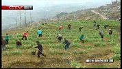 重庆新闻联播-20120312-今天是全国植树节.巴渝大地植树忙