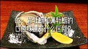 岩牡蛎：石头一样的生蚝，打开以后肉竟然是白白嫩嫩？