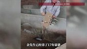 古有“草船借箭”，今有“豪猪借刺”！男子养豪猪17年，拔刺一斤能卖400元