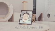 主人和猫咪开视频，喵星人看到后一脸懵，差点笑喷了