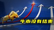 牛市没有结束