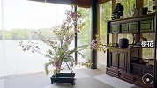 日本顶级花道，3分钟轻松学到手！