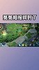 王者荣耀：这典韦被我魅惑到了