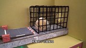 小仓鼠被困在宠物监狱，到处都是陷阱迷宫，他能成功越狱吗