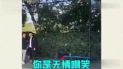 打球还能这样打？技术不咋样，玩得倒挺花