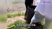 陕西多人往汉江放生蛇及鱼鳖，赶走钓鱼佬怒斥“损德”，多方回应