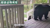 棕熊为了找吃的，竟直接爬窗户闯进居民家，太大胆了