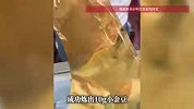 男子用白鹿黄金海报炼10g金豆，看评论区后破防，网友：人果然很难赚到认知外的钱