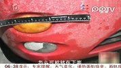浙江：蹊跷车祸 受害人自导自演