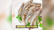 虾属于海鲜吗？一文带你了解真相！
