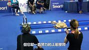 乌龟对猫咪穷住不舍，喵星人表示很无奈！网友-跑的太快了吧