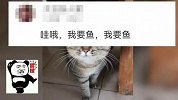 猫咪：怎么这么呛呢？