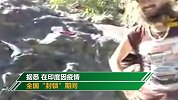 印度荒野山洞发现6名外国游客：住了1个月 “封城”期间没钱了
