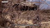 乌克兰女兵泛滥成灾却经常愁嫁！真实原因让人感到无法接受