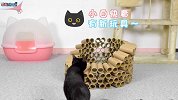 DIY猫咪纸筒玩具！【举起爪儿来】 