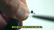 气球孵化的鸟宝宝长大了，男子用它们羽毛钓鱼，最后举动令人敬佩