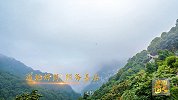 【非凡匠人】道地好药 服务基层