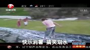 快乐消暑 狗狗搞笑划水