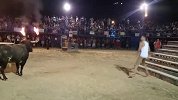 综合-15年-斗牛场点火牛角 一人被牛顶飞当场致命-新闻