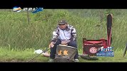 《四海钓鱼》-钓赛进行时-2016年第四届中国台儿庄河钓大赛 上