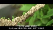 科幻解码之《生化危机》