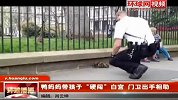 搞笑-20120327-鸭妈妈带孩子硬闯白宫.门卫出手相助