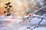 二十四节气中大雪节气意味着什么？