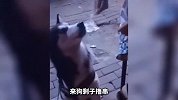 猫咪也会一见钟情啊 不过结局还是翻车了哈哈