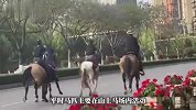 昆明街头4人并排“策马奔腾”，涉事马术俱乐部称“只是路过”，交警回应