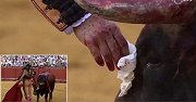 尊重还是伪善？斗牛士杀死公牛前拿出手帕为其擦泪