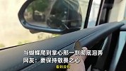 蝴蝶跟着一家人一路前行，飞到掌心那一刻彻底泪奔：是不是奶奶！