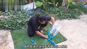 不用油也不用电，只需要一个打气筒就可以将地下的水抽上来