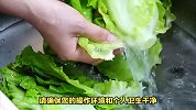 生菜可以生吃吗？探讨生菜的适宜食用方式及注意事项