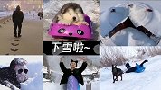下雪啦，玩雪啦！结果玩着玩着就翻车了…网友玩雪合集简直太沙雕