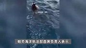 帕劳潜水失联的9名中国人均获救，潜水店负责人：事故原因或与船长有关