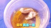 “正确”的方法吃活章鱼