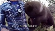 小黑熊出门寻找食物，不幸遇上俄罗斯人，结果开始了它的噩梦！